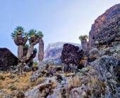 Kilimanjaro Climb – Lemosho Route