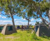 Botswana & Zimbabwe Lodge Safari