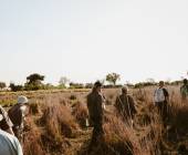 Botswana & Zimbabwe Lodge Safari