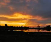 Botswana & Zimbabwe Lodge Safari