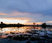 Botswana & Zimbabwe Lodge Safari