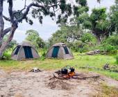 Wildlife & Wilderness of Botswana