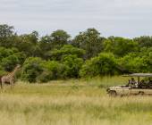 Wildlife & Wilderness of Botswana
