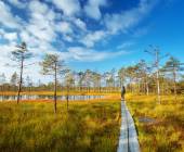 Discover the Baltics