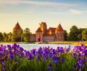 Discover the Baltics