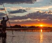 Wildlife & Wilderness of Botswana