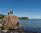 Discover the Baltics