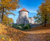 Discover the Baltics