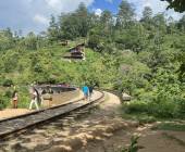 Sri Lankan Highlights