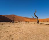 Namibian Family Adventurer