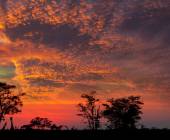 Botswana & Namibia: Delta & Dunes