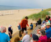 Discover the Baltics