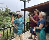 Discover Costa Rica