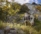 Amalfi Coast Family Adventure