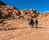 Petra & Wadi Rum Trek