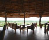 Chimps & Gorillas of Uganda