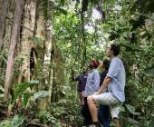 Chimps & Gorillas of Uganda