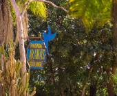 Pantanal – Land of the Jaguar