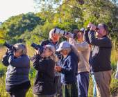 Pantanal – Land of the Jaguar