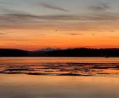 Whales & Bears of British Columbia