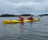 Whales & Bears of British Columbia