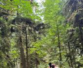 Whales & Bears of British Columbia