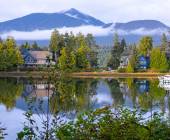 Whales & Bears of British Columbia