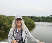 Chimps & Gorillas of Uganda