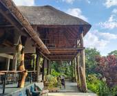 Chimps & Gorillas of Uganda