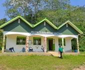 Chimps & Gorillas of Uganda