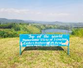 Chimps & Gorillas of Uganda