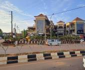 Chimps & Gorillas of Uganda