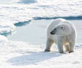 Northwest Passage: The Legendary Arctic Sea Route (Ultramarine)