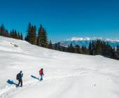 Transylvania Winter Walk & Snowshoe