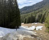 Transylvania Winter Walk & Snowshoe