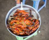 Cycle Southeast Asia