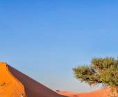 Namibian Family Adventurer