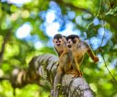 Costa Rica Adventure Family Holiday