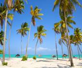 Kenya & Tanzania Adventure