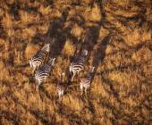 Kenya & Tanzania Adventure