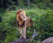 South Africa: Walking & Wildlife