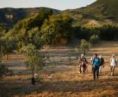Walking in Andalucia