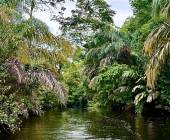 Costa Rica Adventure Family Holiday