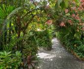 Costa Rica Adventure Family Holiday