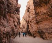 Botswana & Namibia: Delta & Dunes