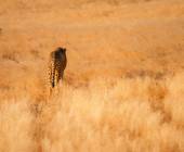 Discover Namibia – Lodges