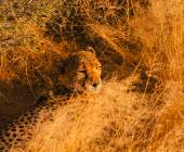 Discover Namibia – Lodges