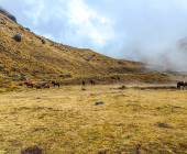 The Inca Trail & Salkantay Trek