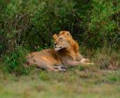 Kenya & Tanzania Adventure