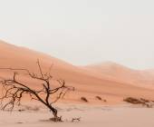 Discover Namibia – Camping